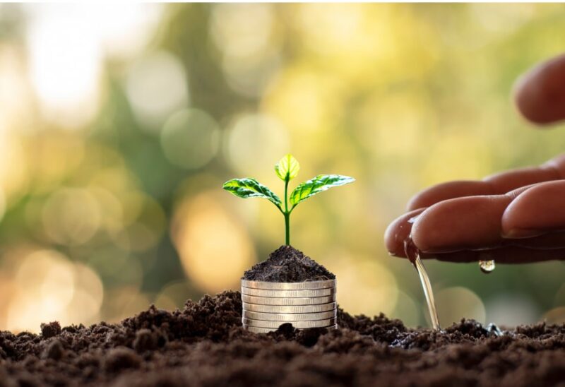 Four Investment Lessons Validated During the Pandemic HTG Advisors